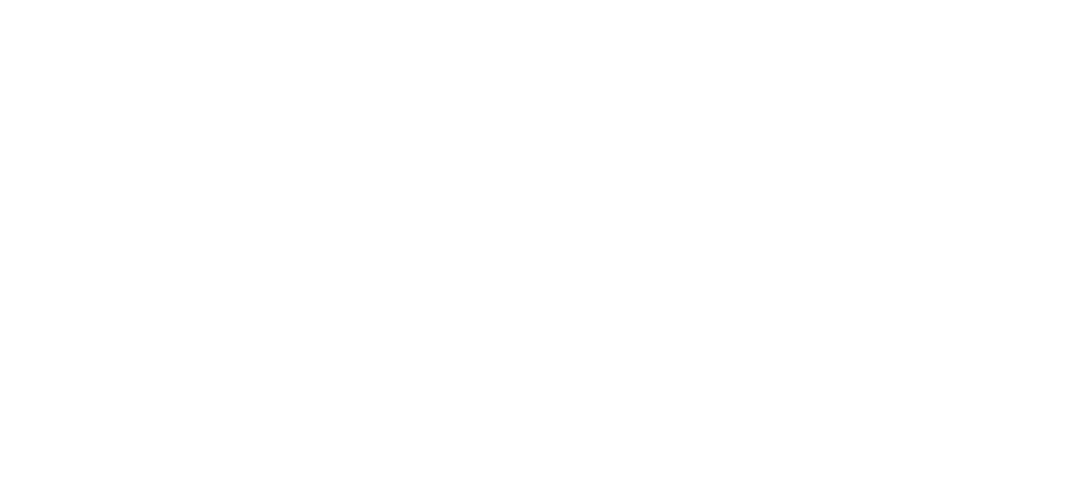 Шүншиг